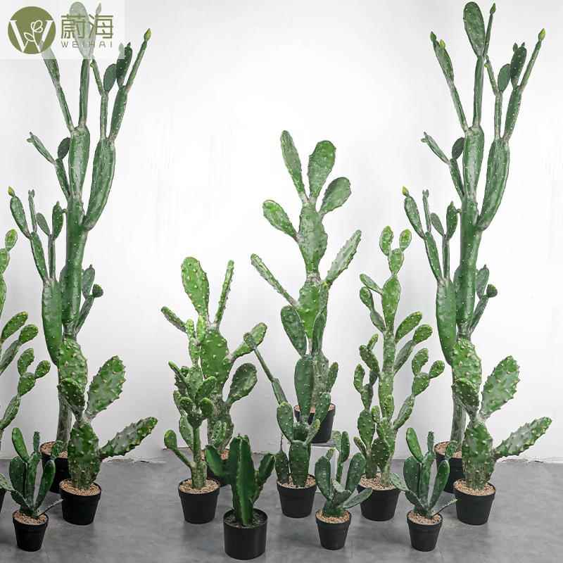 仿扁仙人掌柱盆栽组合WH-造景仙真装饰人拍摄道具厂家摄影道具