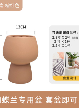 网红蝴蝶兰花盆专用套盆高脚兰花花盆陶瓷家用高级单支文心兰花瓶