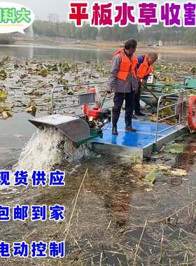 便宜的小型水草打捞船 电动平板割草船 浒苔灯笼草平板打捞船