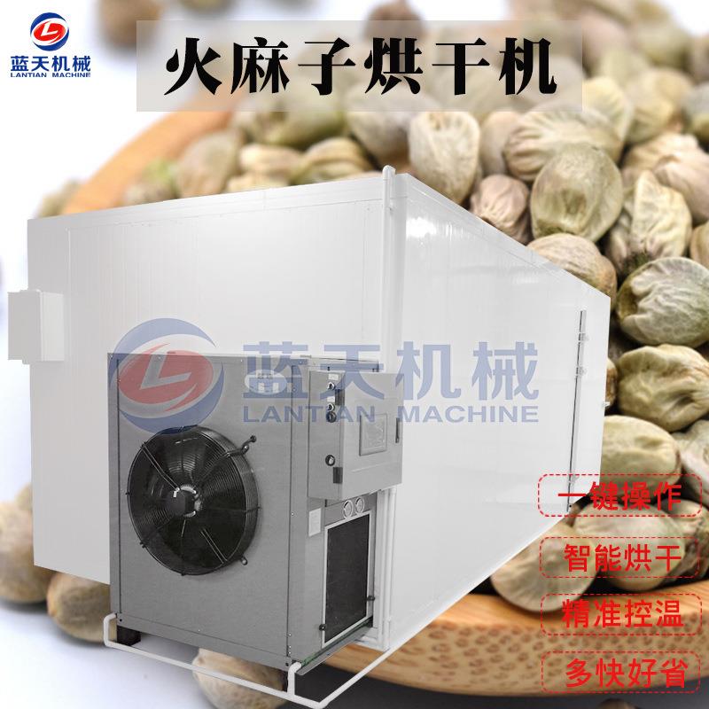 火麻子烘干机大型商用 火麻仁麻子仁烘干机 火麻冬麻子除湿干燥机
