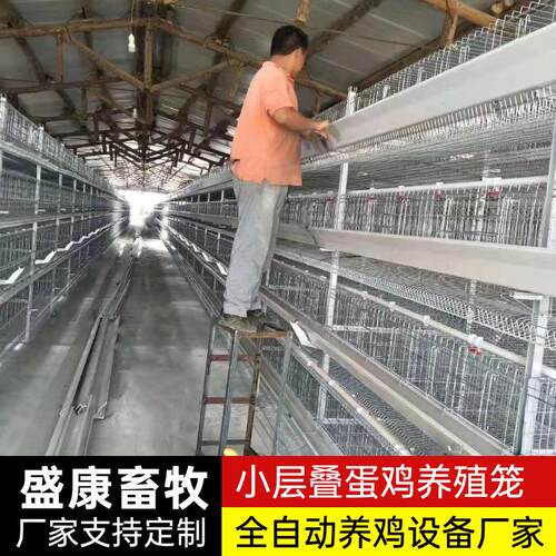 小层叠立式蛋鸡笼养殖场养鸡用自动集蛋清粪蛋鸡笼三层四层蛋鸡笼