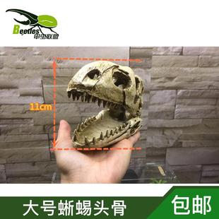 恐龙头骨蜥蜴头乌龟爬宠物蛇水草造景彷真包邮鱼缸水族箱精品摆件