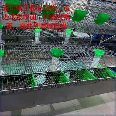 欧式兔笼笼具养殖兔用笼子热镀锌丝加粗加密欧式养殖兔笼笼具
