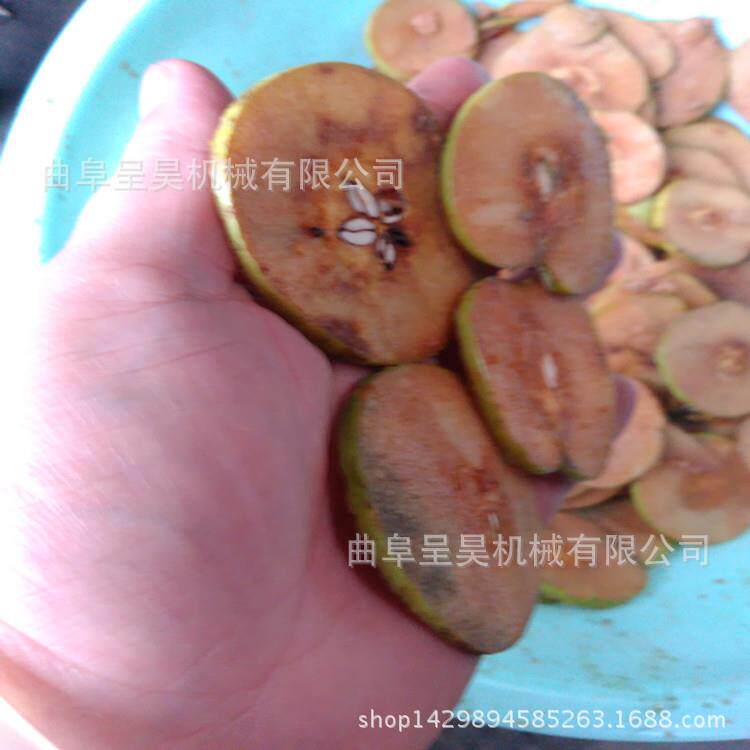 厂家直销大果山楂切片机大蒜切片机操作简单效率高