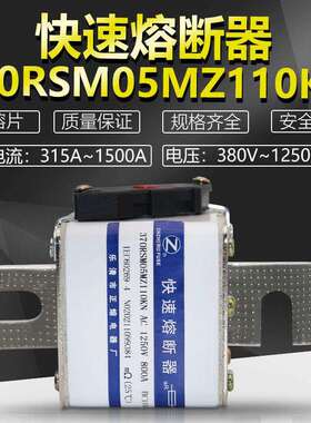 370RSM05MZ110KN/TN690V700V900V1000V1250V熔断器DC440V/700V