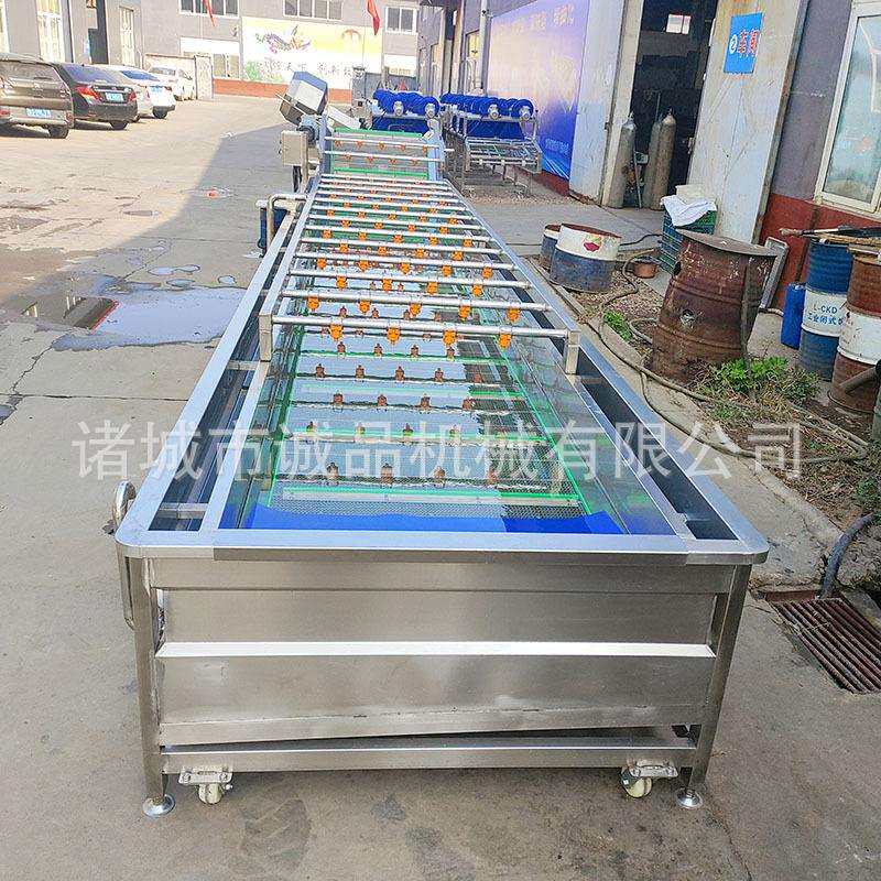商用流气泡清机菜肉块IWP鱼片清洗水线白洗菜机大枣洗蓝莓果蔬清