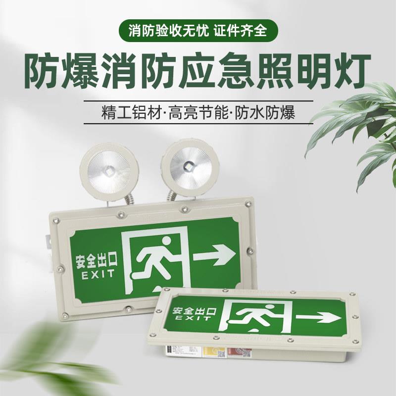 防爆双头紧急照明灯led消防照明紧急照明灯安全出口疏散指示灯牌