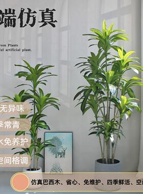 高端轻奢盆栽大型仿真绿植物室内客厅摆件装饰仿真巴西木假树造景