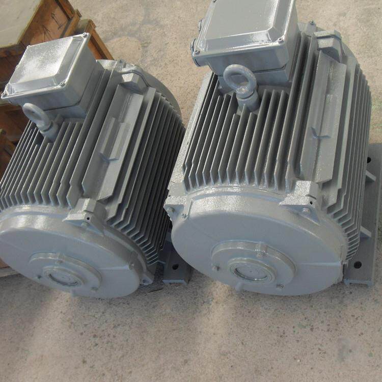 低速永磁发电机30w50赫兹水利发电机稀土永磁风力发电机组