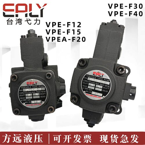 台湾弋力EALY叶片油泵VPEA-F40D/F30D/20B/F15D/12D/C-X-10 9T 7T