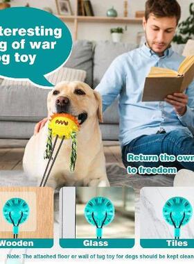 Indestructible, Mentally Stimulating Interactive Dog Toys