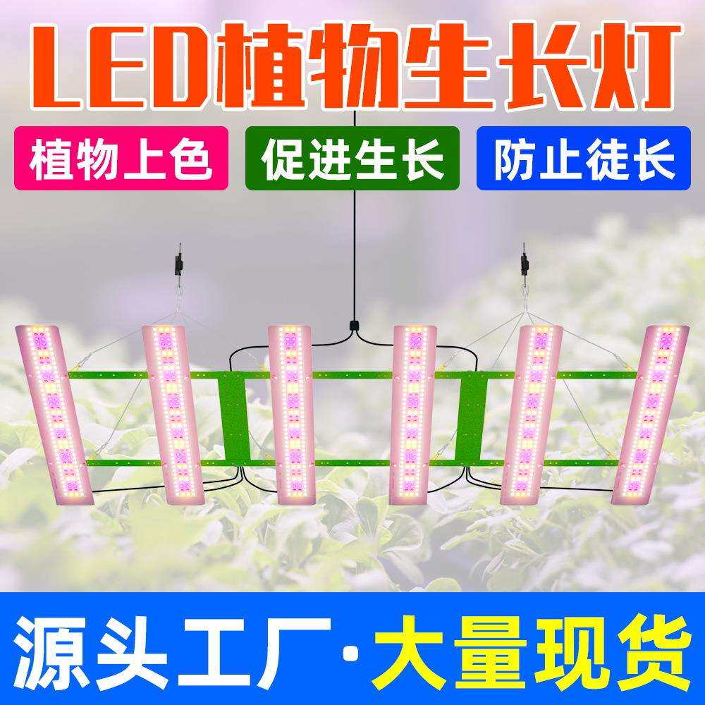 谦润照明LED植物生长灯户外全光谱植物种植灯温室育苗植物补光灯