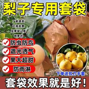 果农推荐梨专用套袋翠冠黄金梨袋子雪梨防鸟防水套树上双层防虫袋
