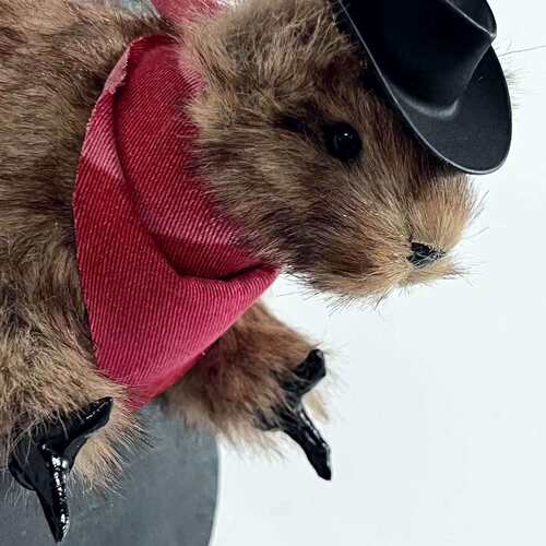 Cowboy Bandit Taxidermy Squirrel仿真牛仔仓鼠摆件挂壁家居装饰
