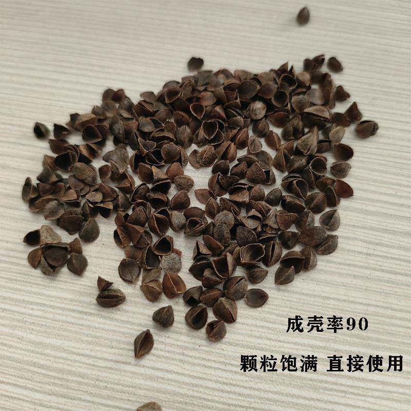 麦厂货三义农90甜荞壳颗粒饱满干现净除尘耐A荞麦壳用可水洗枕头