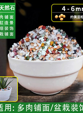 雨花石小石子鹅卵石盆栽养花粗沙