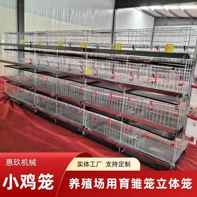 定制小鸡育雏笼镀锌鸡笼育雏笼H型立体笼养殖场养育雏鸡笼