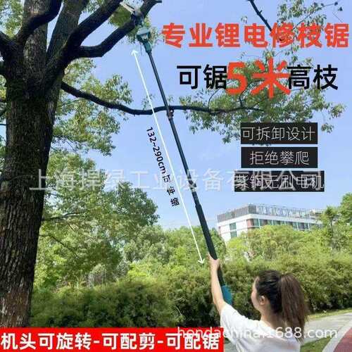 丸崎C1028锂电高枝锯充电式高空修剪树枝锯21V