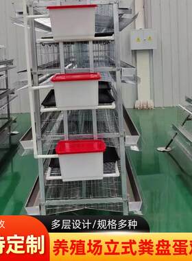 鸡舍立式接粪盘蛋鸡笼厂家多层立体养殖笼镀锌材质自动清粪养鸡笼