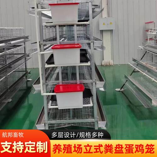 鸡舍立式接粪盘蛋鸡笼厂家多层立体养殖笼镀锌材质自动清粪养鸡笼