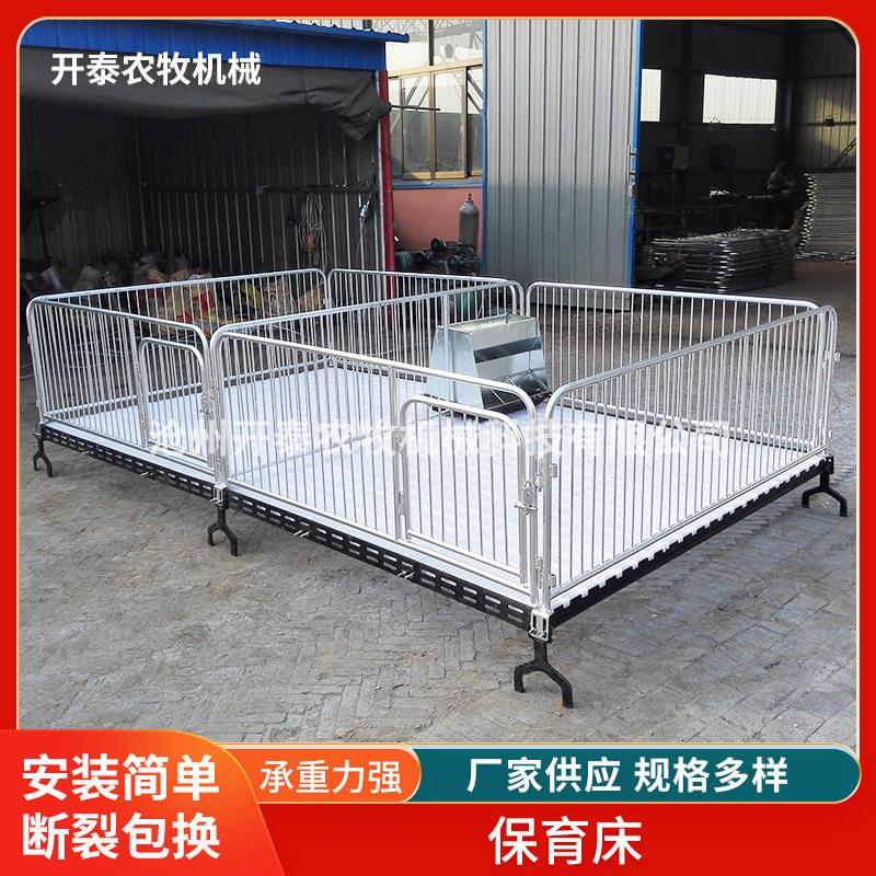 母猪保育床养殖场养猪设备现货仔猪保育床加厚镀锌钢管母猪保育床
