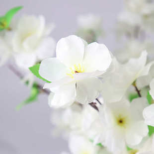 仿真植物假绿植造景塑料假花盆景客厅卧室阳台桌面摆件树叶仿真花