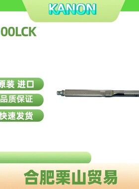 扭力扳手N700LCK头部可替换