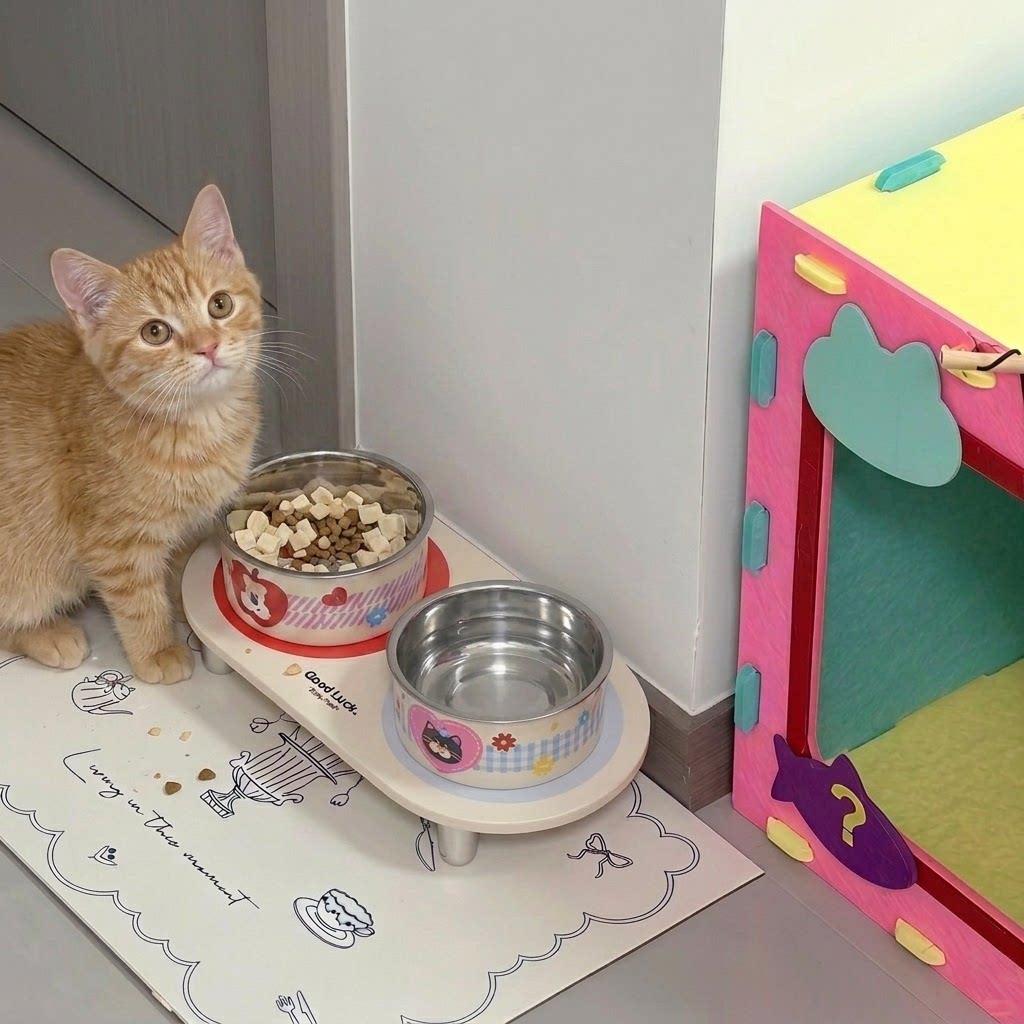 猫碗不锈钢不易打翻防外溅护颈增高架双碗喝水吃饭一体宠物喂食碗