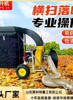 手扶自走IEI园林绿油树叶收集式器市政环汽卫化落叶清扫机大型吸