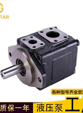 T6CMT6DMT6EM叶片泵丹尼逊柱销式叶片泵油泵