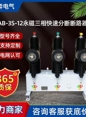 AB-3S-12/630A永磁三相快速分断高压10KV真空断路器开关高分断