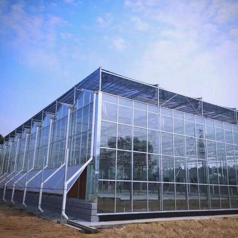 镀锌钢构玻璃温室大棚抗风防锈遮阳温室花卉蔬菜种植棚坚固耐用