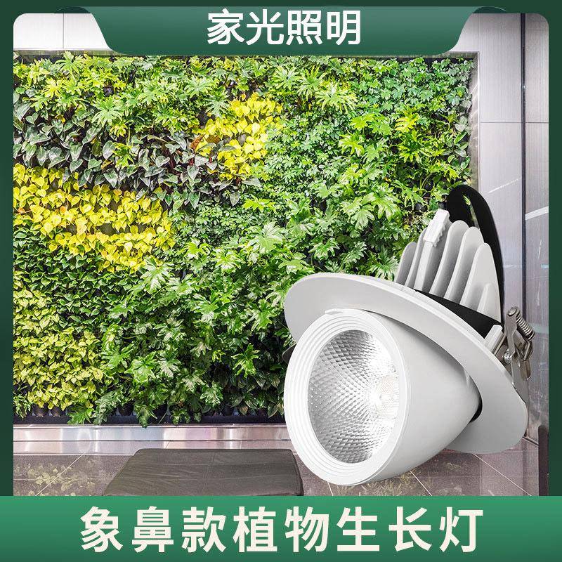 全光谱发财树天花绿植墙象鼻生长灯 室内园艺补光照明led植物射灯