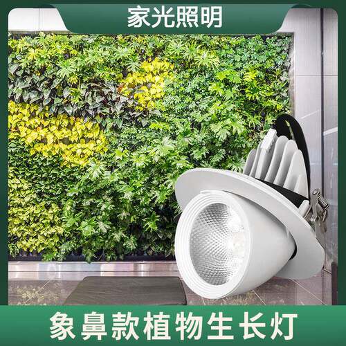 全光谱发财树天花绿植墙象鼻生长灯 室内园艺补光照明led植物射灯