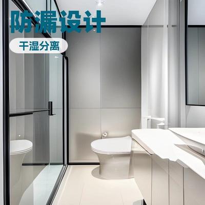 外贸卫生间干湿分离玻璃隔断弧扇形淋浴房家用沐浴房枪灰色极