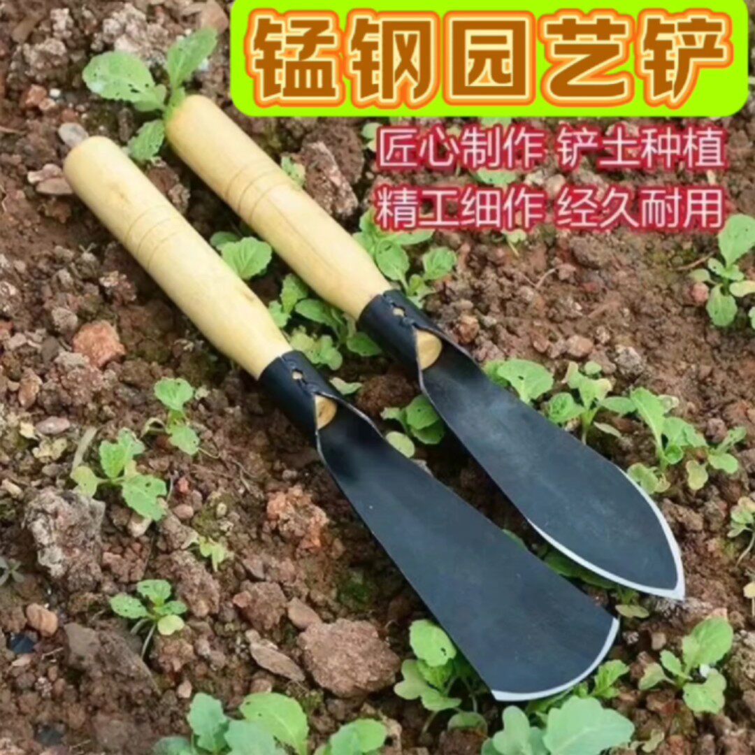 【재고 정리가 3.8위안 무료배송】채소 재배 필수품 망간강 작은 삽, 꽃과 채소 재배 도구, 야생 채소 캐기 망간강 작은 삽은 채소와 꽃 재배, 야생 채소 캐기 등 원예 작업에 적합한 망간강 소재의 저렴하고 실용적인 도구입니다. 평두와 첨두 두 가지가 있으며, 파거나 삽질할 수 있습니다. [화] 재고 정리 특가! 한 줌에 3.8위안이야! 두 개에 6.8위안이야! [그린볼] 무료배송! 바로 주문하시면 됩니다. 주문 후 최대한 빨리 발송해 주세요. 편원 지역은 발행하지 않는다.