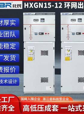 HXGN15-12环网出线柜10kv环网柜高压柜二进四出高压高低压成套柜