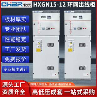 12环网出线柜10kv环网柜高压柜二进四出高压高低压成套柜 HXGN15