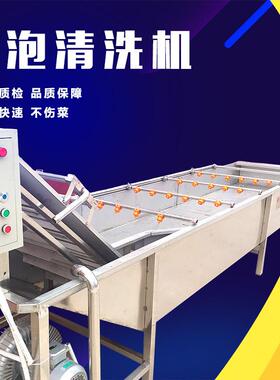 大圣女苹果气泡清洗机 枣多功能气臭氧清泡洗 节能高效果ABR 厂销