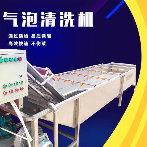 小龙虾气泡高压气泡清洗机菠菜清洗加工设备节能高效