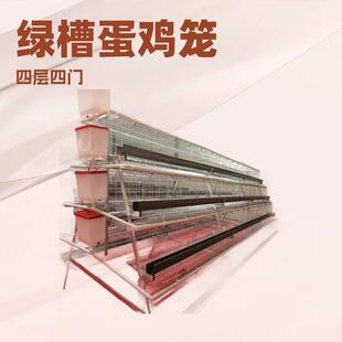 养殖场用层叠式四层四门绿槽蛋鸡笼鸡舍养殖场家用