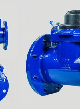 水平螺翼可拆式水表（法兰连接）型号:NS07-LXLC-100库号M406478