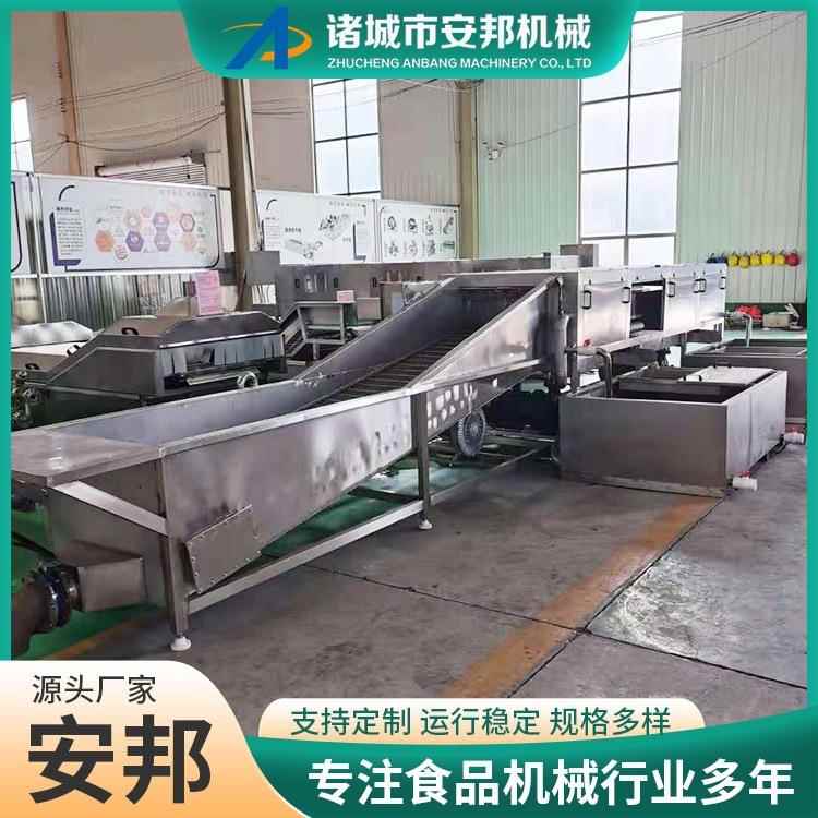 厂家直发清水竹笋加工清洗设备玉米深加工流水线小龙虾气泡清洗机