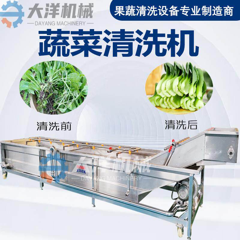 机械果蔬气泡清洗机304不锈钢材质净菜加工设备树莓清洗设备