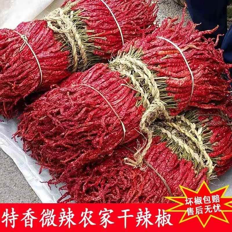 自然晒干皱皮辣椒长辣椒二荆条红辣椒干辣椒微辣特香