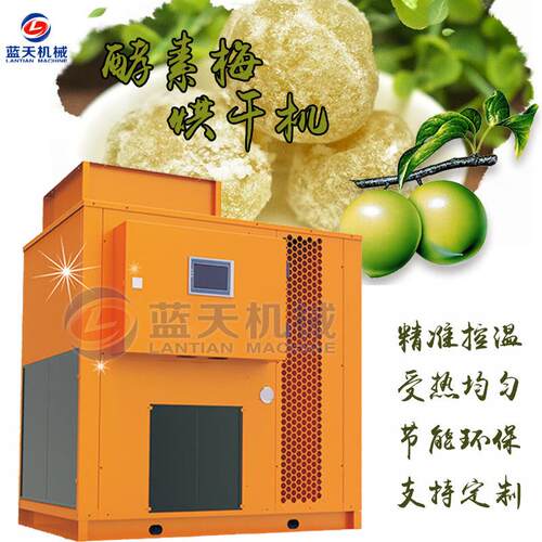 空气能酵素梅烘干机情人梅子烘干箱青梅果话梅烘干设备热风循环