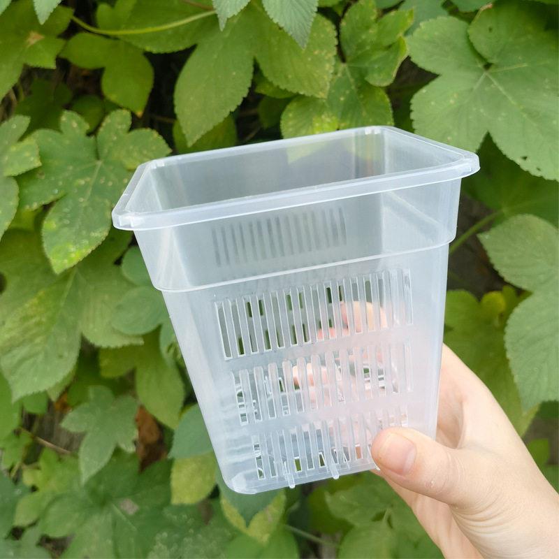 蝴蝶兰花盆蝴蝶兰专用花盆透气套盆控根盆营养钵育苗杯养兰花花盆