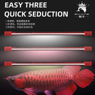 15000K发色T5灯 6700K三基色黄白红 鱼缸T5龙鱼灯 水族发色潜水灯