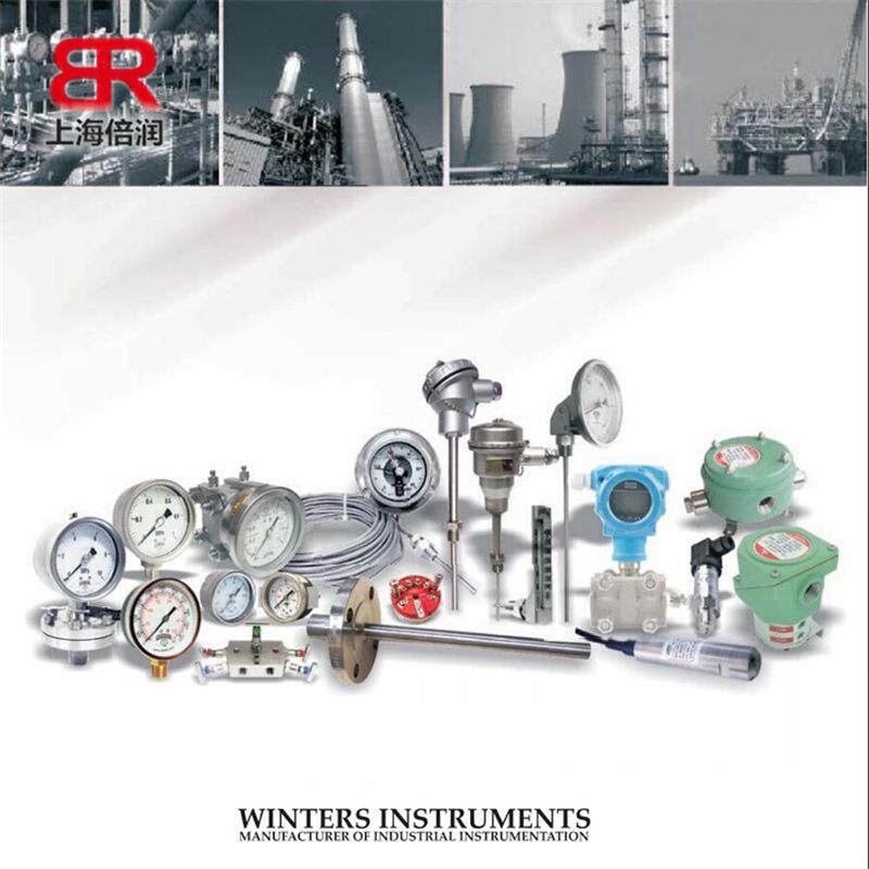 倍润WINTERS供应PFQ系列罩圈不可取压力表