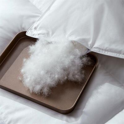 Luxury Goose Down Duvet Bulanket Warm Quilt Comforter Cotton
